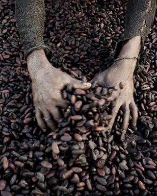 Mars, Nestlé, and Hershey Accountable for Child Labor in the Ivory Coast End Slavery Now